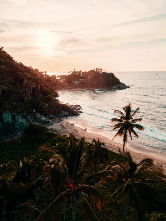 a sandy beach with palm trees and the ocean