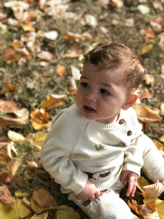 a baby sits in the leaves on a sidewalk