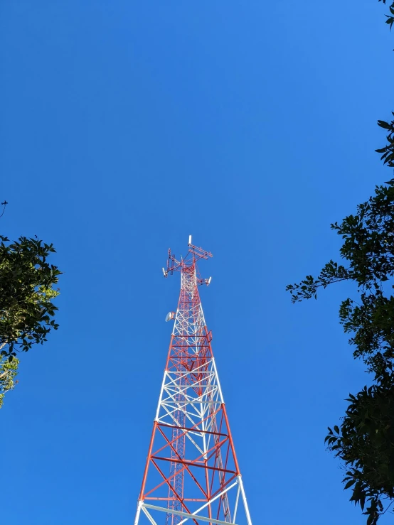 a phone tower sits among some trees