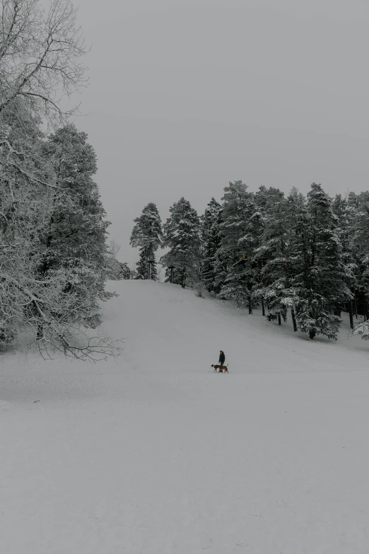 a person is sitting in the snow near a snowy trail