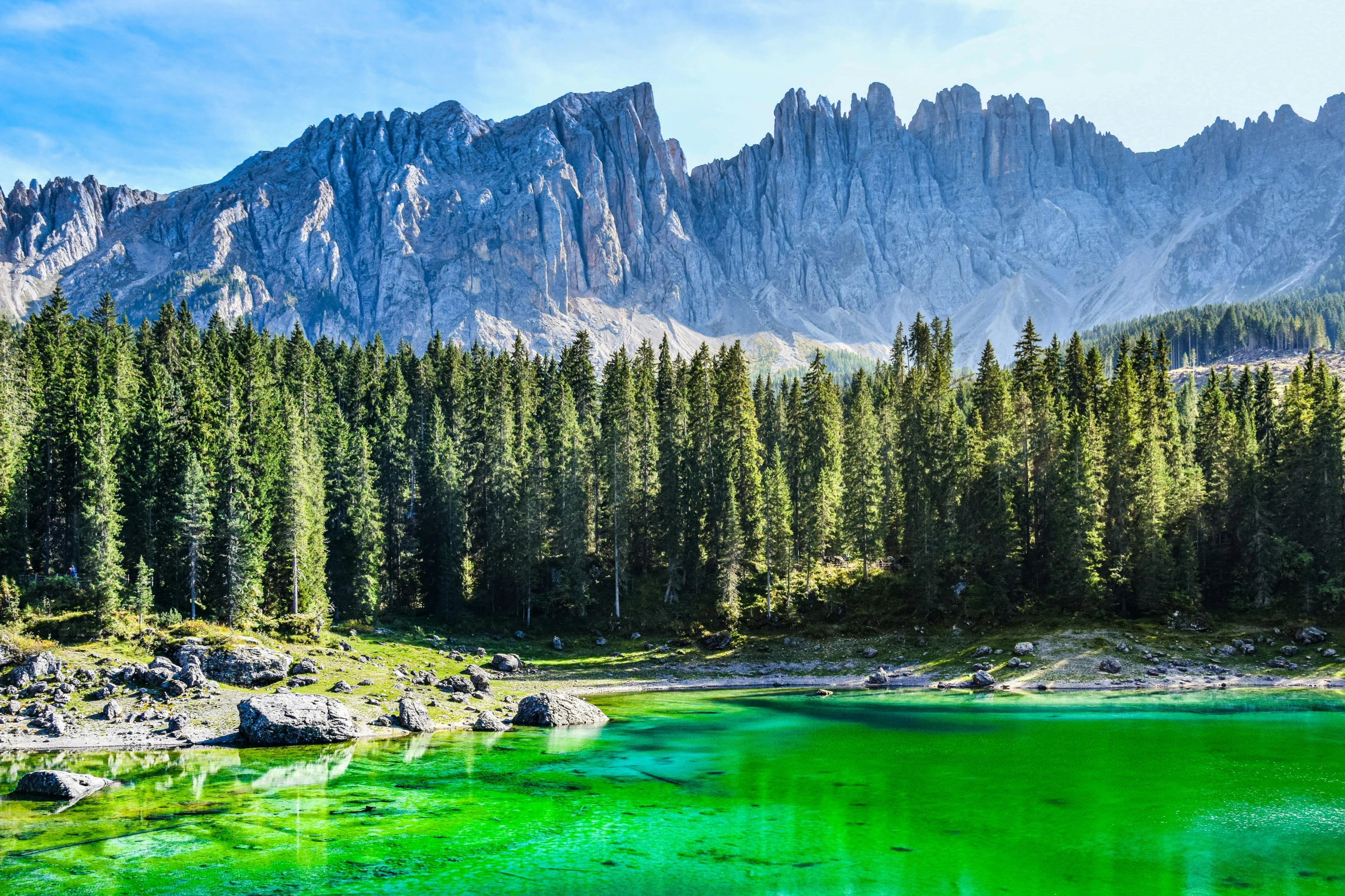 a green lake surrounded by trees with mountains in the background