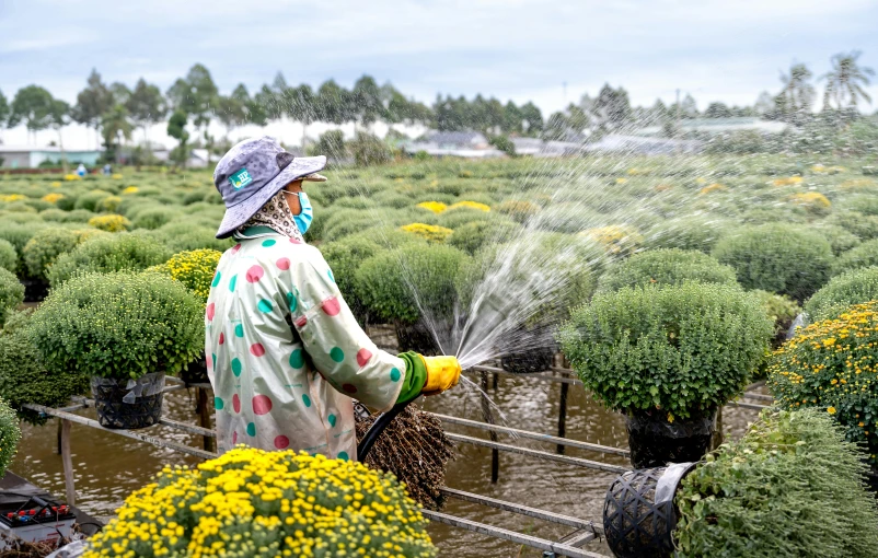 a person is spraying water from a hose