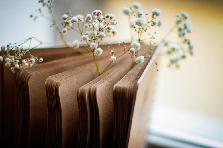 two bookends have flowers growing out of the top of them