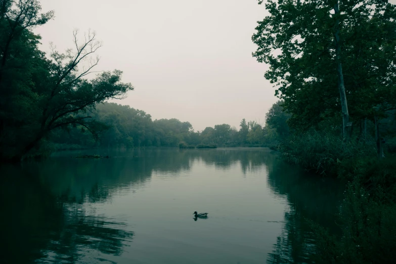 an airplane flying over water surrounded by trees