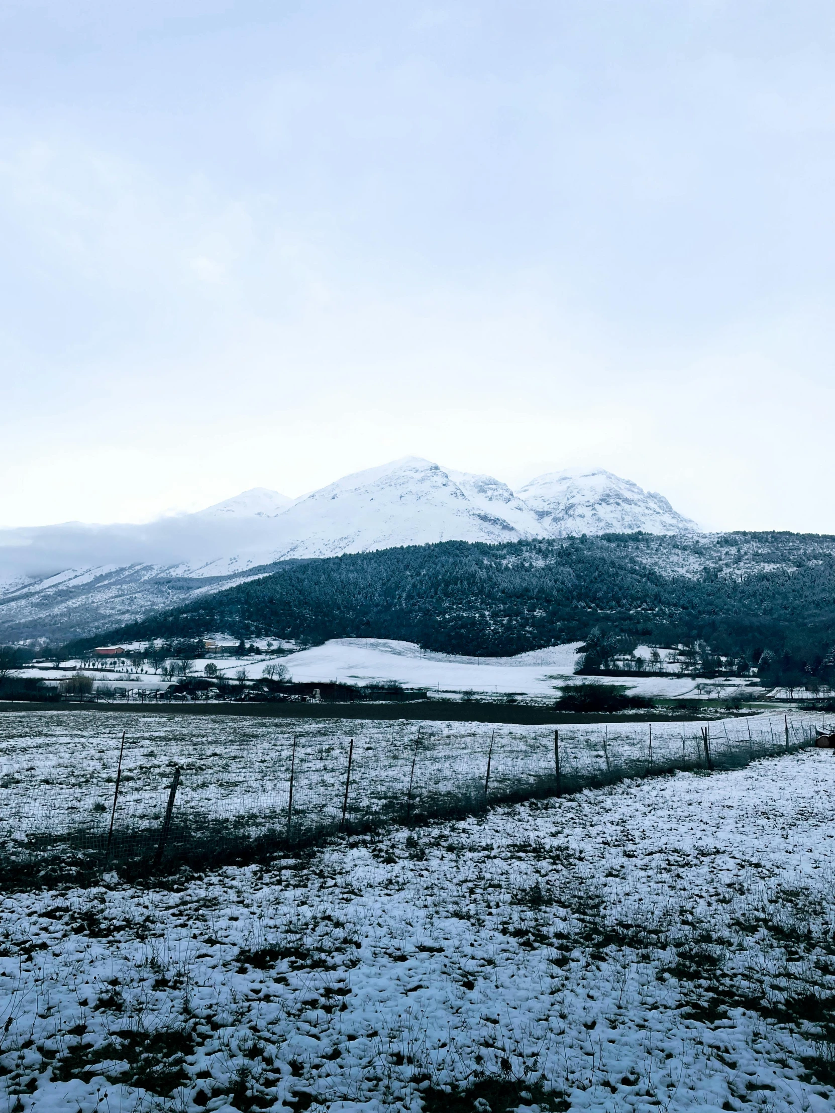 mountains covered in snow and plants under a cloudy sky