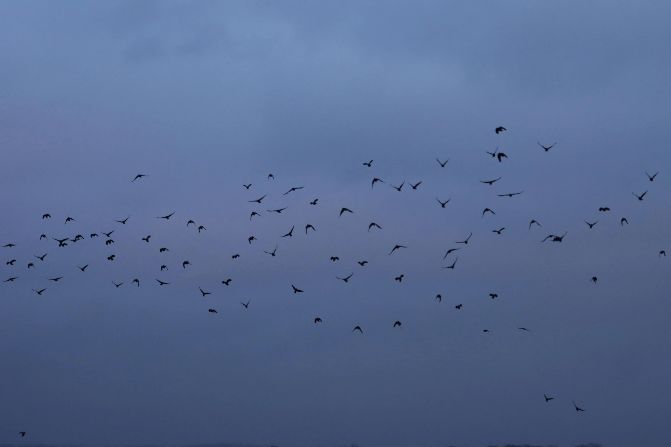 the birds are flying above the buildings and trees