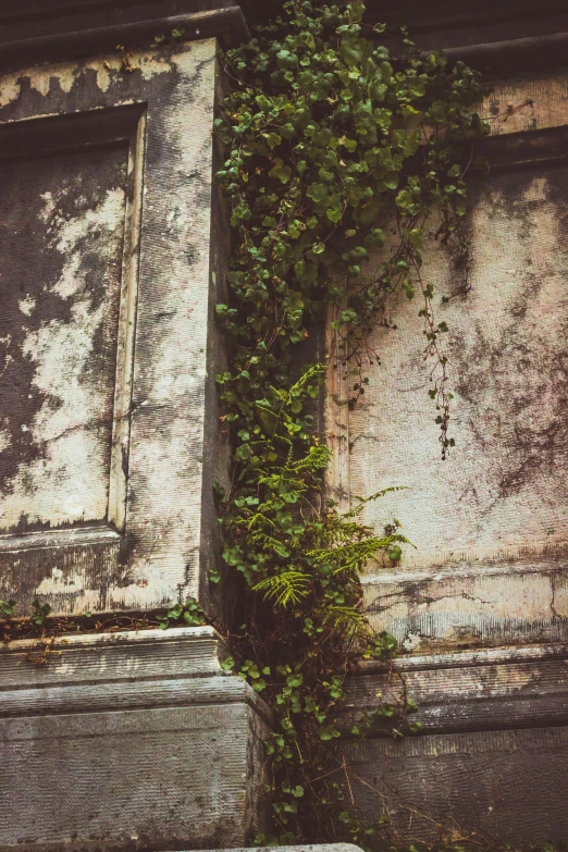 an old door covered with green plants next to a stone wall