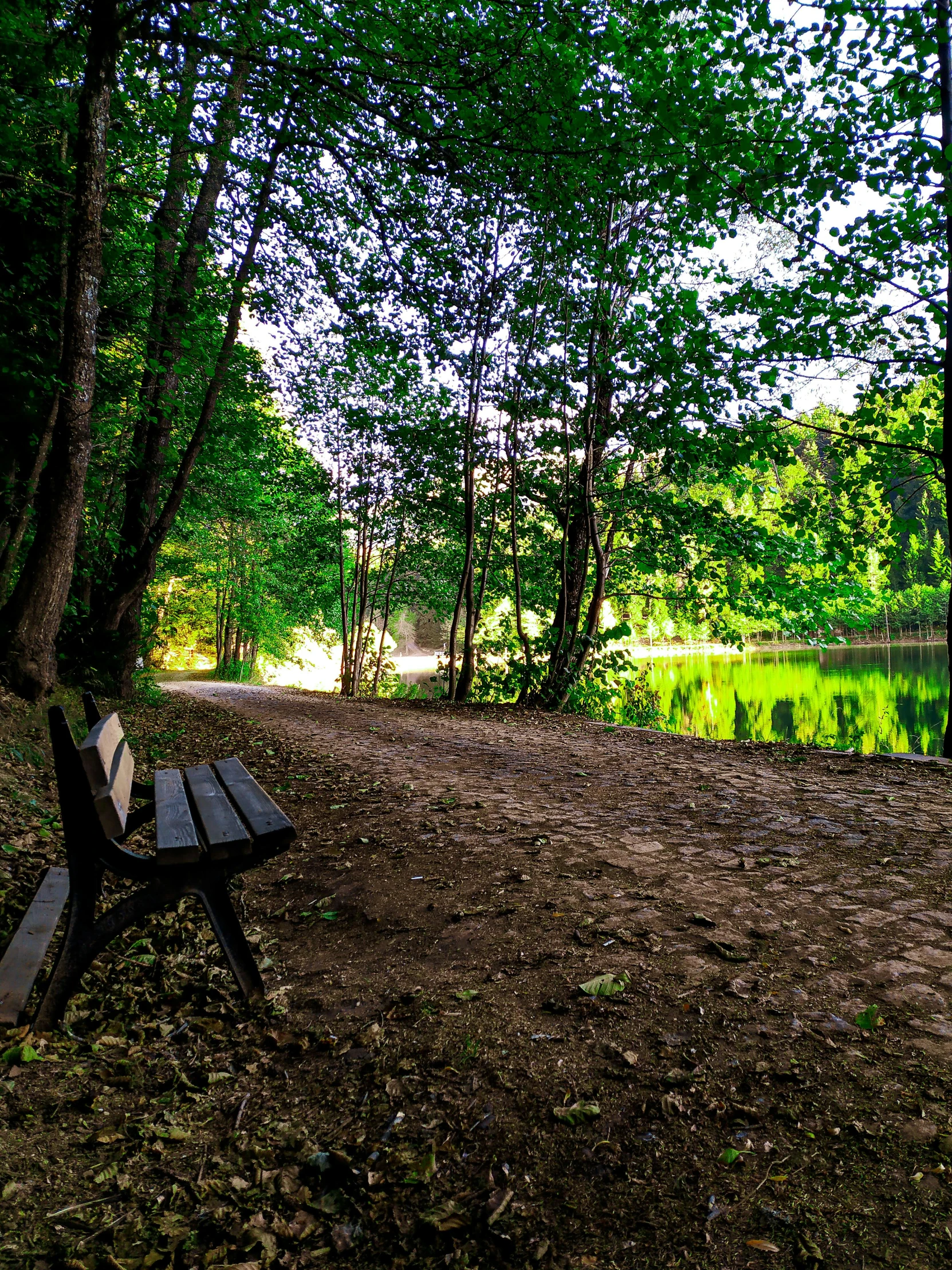 an empty wooden bench is set out near a pond