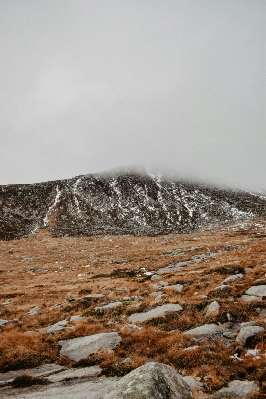 a mountain covered in snow with lots of grass