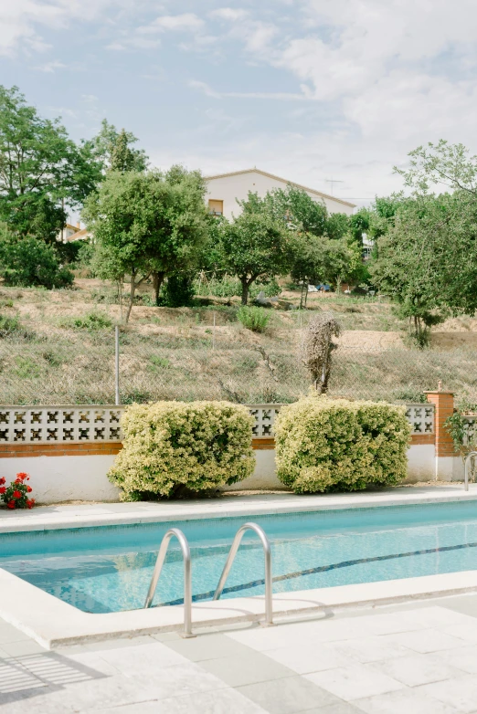 a swimming pool surrounded by green plants with water feature and trees