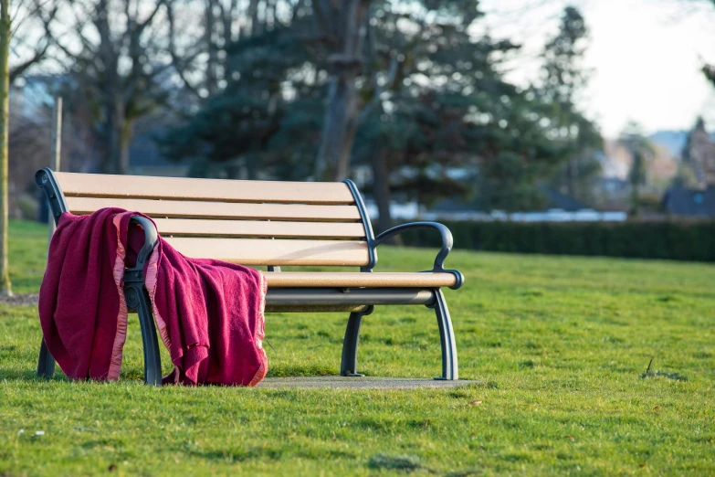 a park bench sitting in the middle of a field