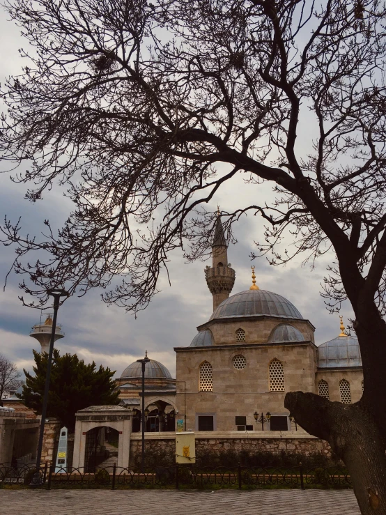 a tree with leaves in front of an old building