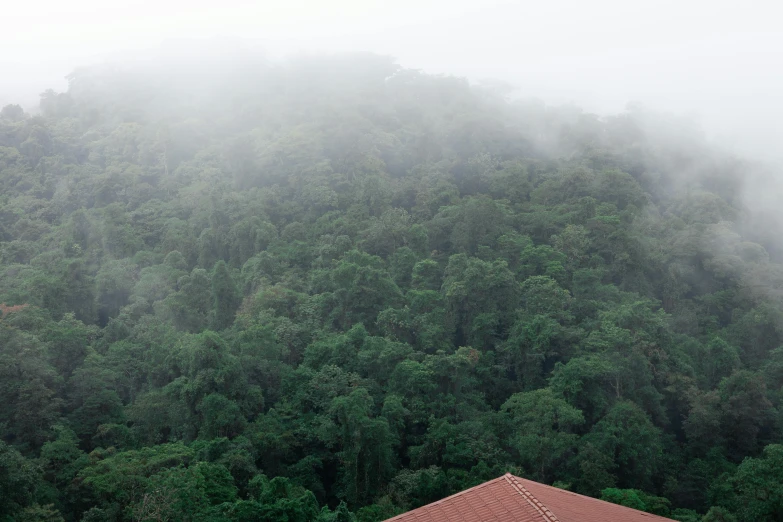 a hill side with trees surrounding it and mist coming off the mountain behind