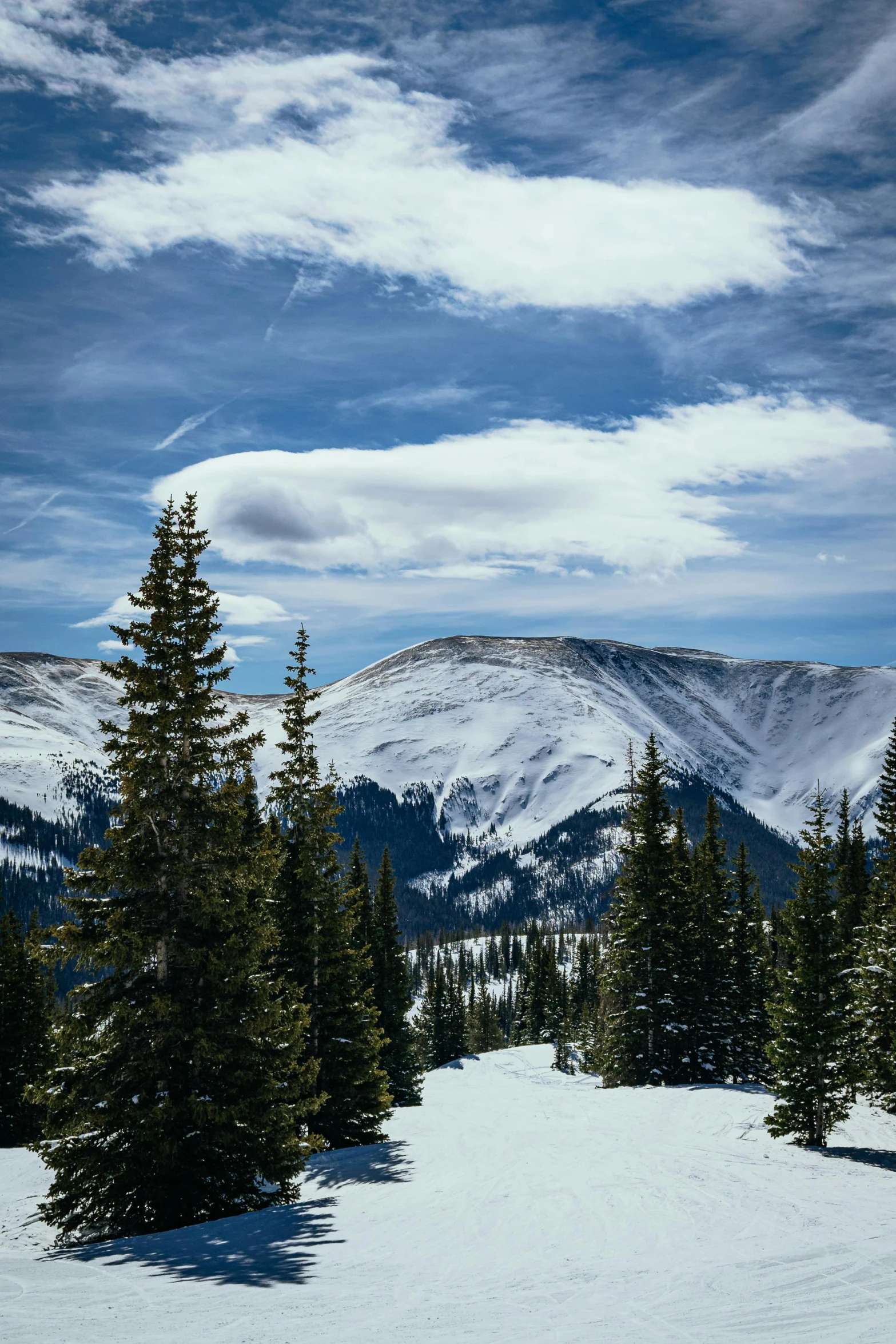 a snowy mountainside and evergreen trees under a cloudy blue sky