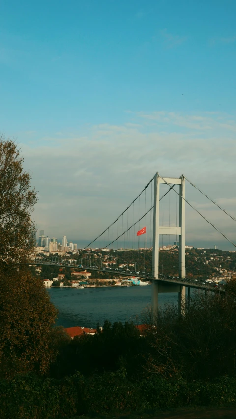 a large bridge spanning over a lake into a city