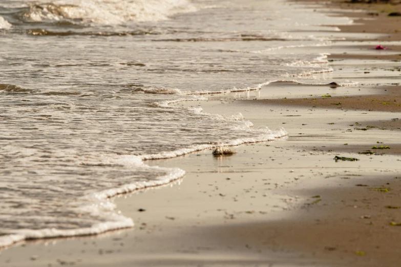 many people have just walked out to the sea from the beach