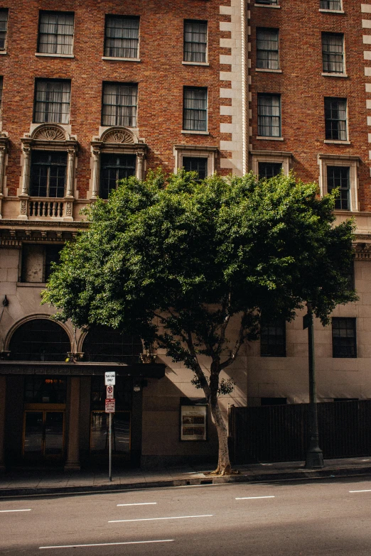 the large building with a large tree is beside it