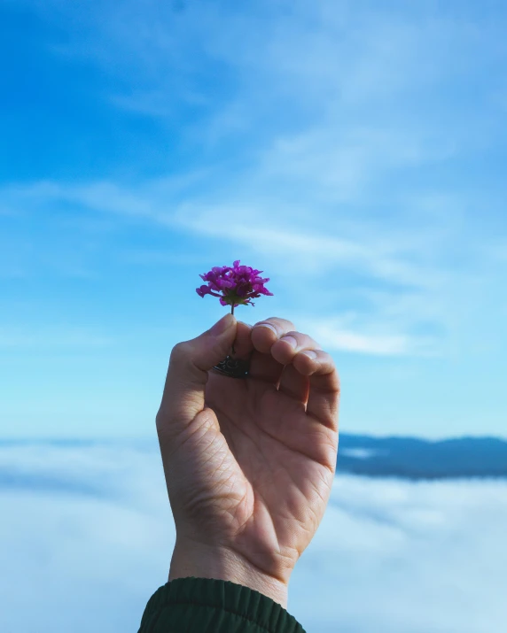 a person's hand holds up a flower over some clouds