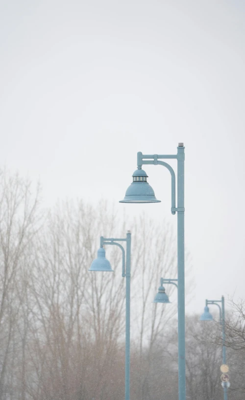 a street light sitting in the middle of a forest