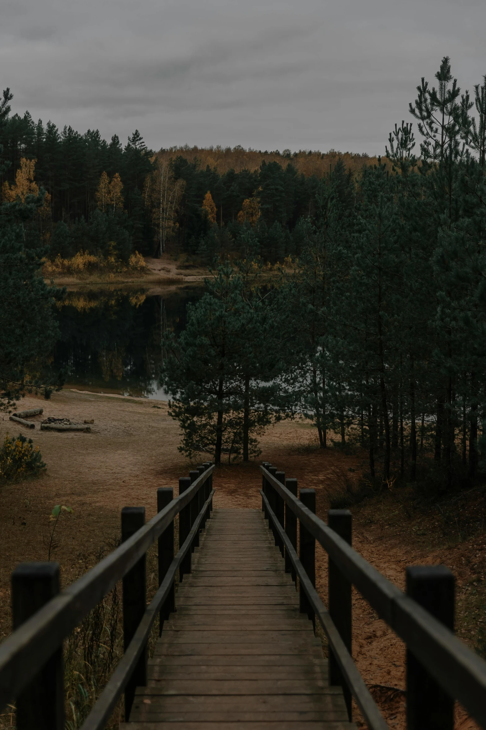 a boardwalk going over a lake surrounded by tall trees