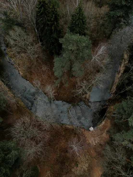 an aerial view of an empty path in the woods