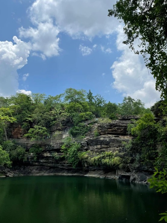 the forest is filled with trees and water