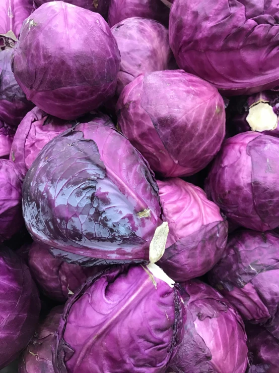 purple cabbage is ready for sale for $ 2 at the store