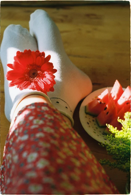 there is a persons feet with a flower in between them