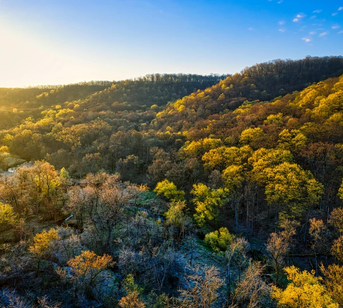 the sun is shining brightly over a very green hill