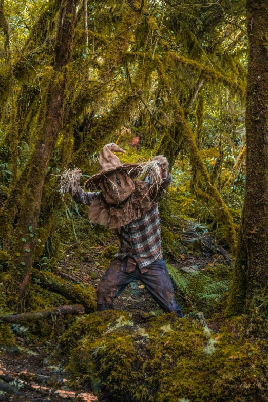 a man in plaid shirt standing in woods