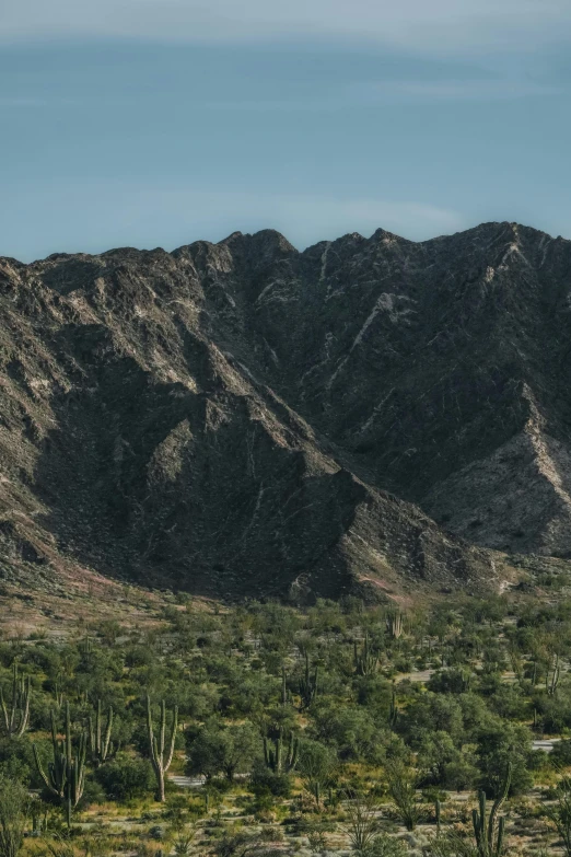 some very tall mountains in a desert field