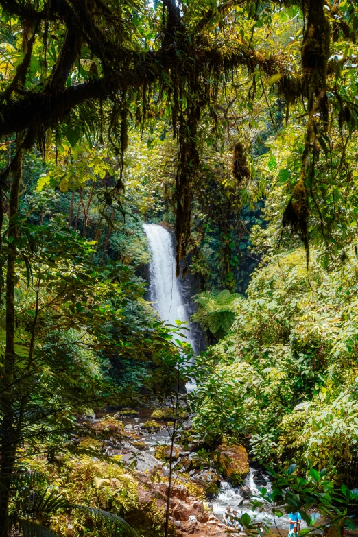 a waterfall flowing into the river through green forest