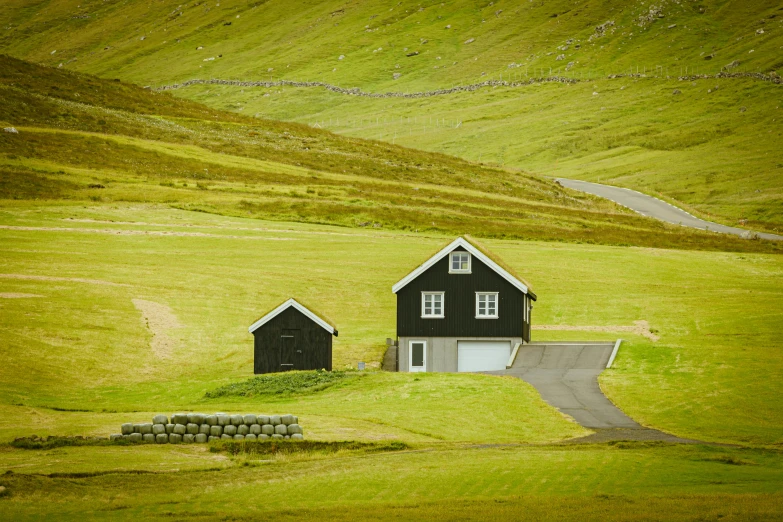 a couple of black cabins sitting in a lush green field