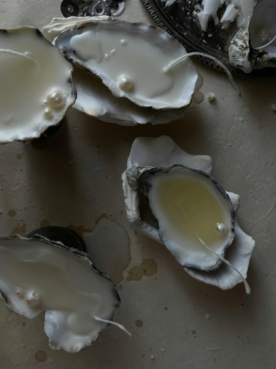several oysters sit on a table with their shell broken