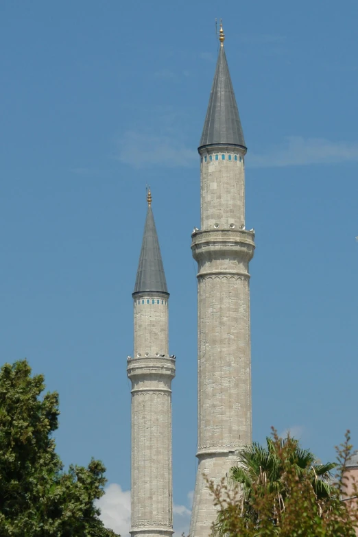 two towers that are in the middle of some trees