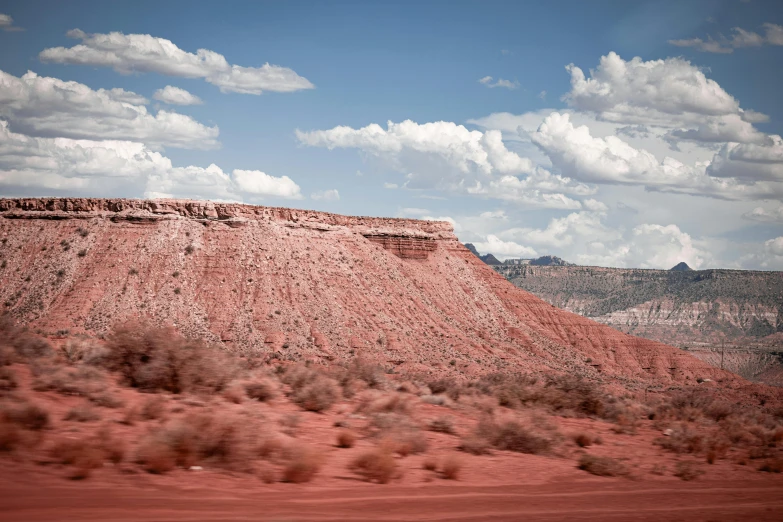 a brown hillside is shown behind some bushes