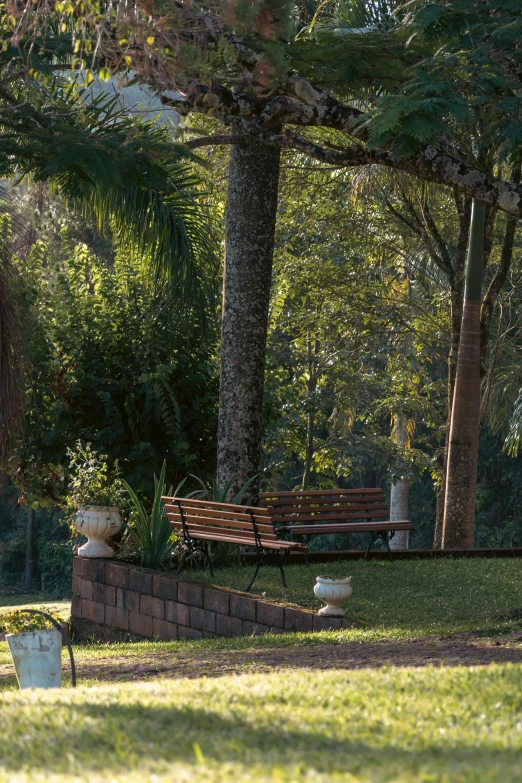 the park bench is near the brick wall and trees