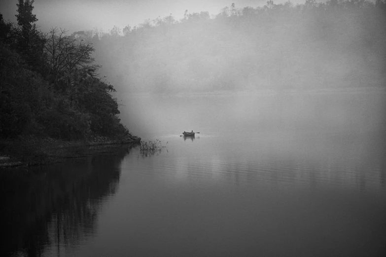 an animal in the water during a foggy day