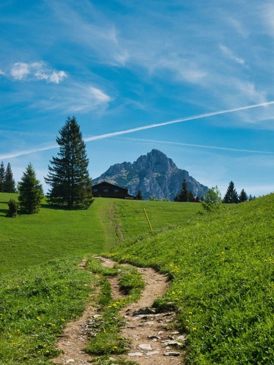 a path splits in the green grass as if descending from a hill