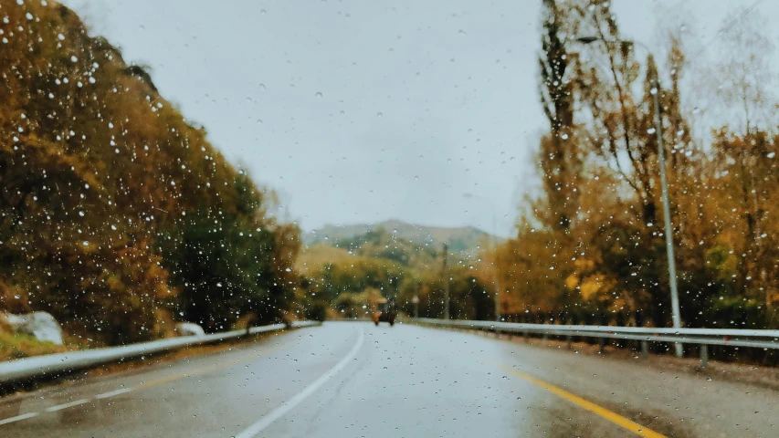 a street view of trees and a couple of people walking through the rain