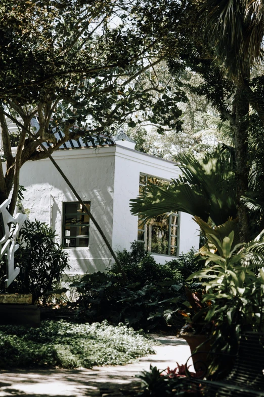 a white house surrounded by trees and plants