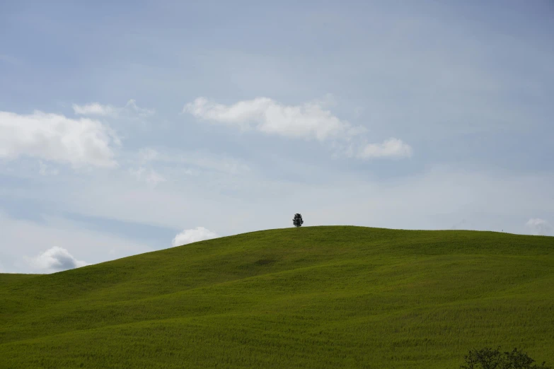 a single tree on a hill with clouds in the background