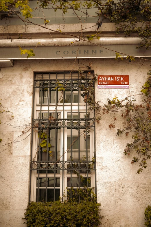 an image of a building that has ivy on it