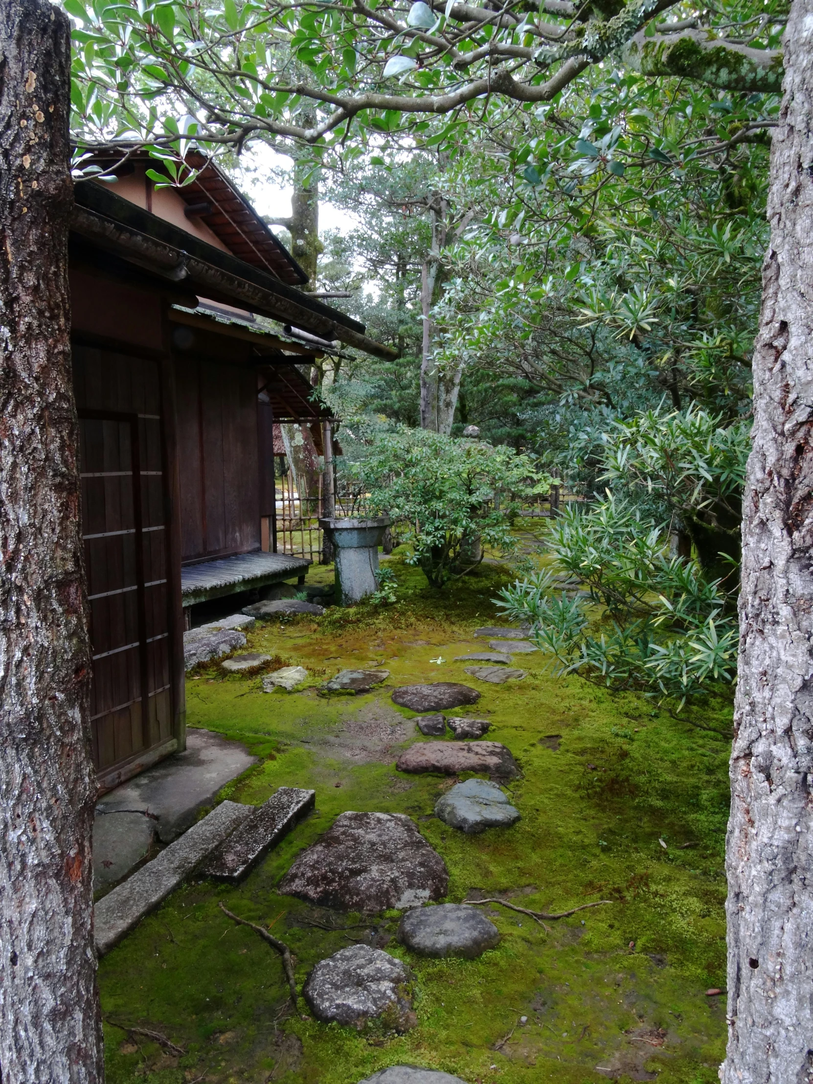 this is a po of a home in the woods