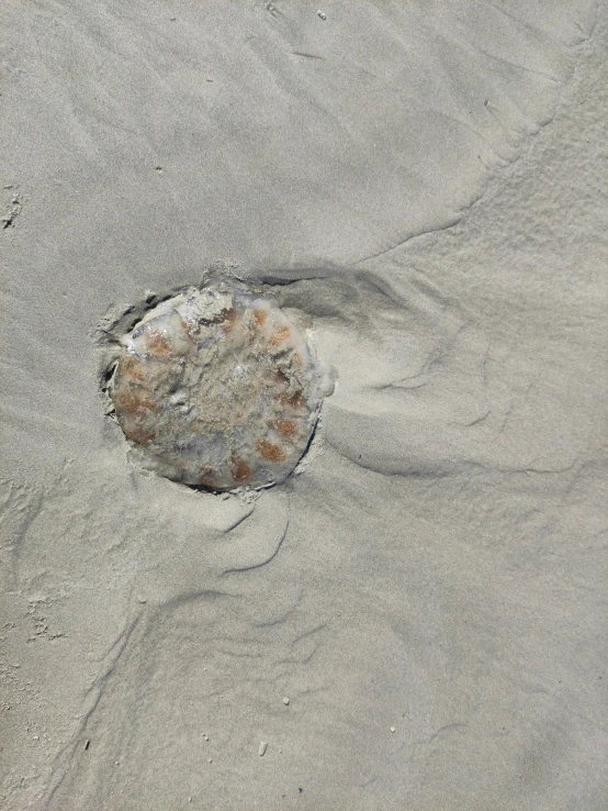 a small hole at the sand on the beach