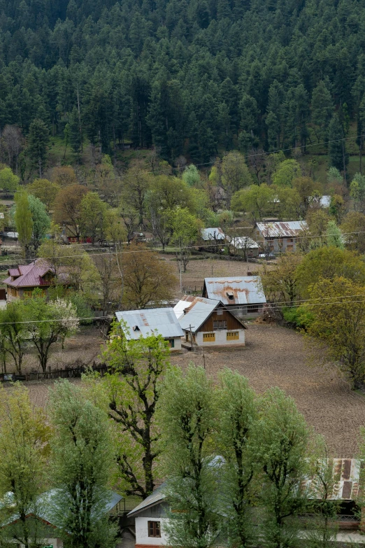 a large green mountain forest with small cottages