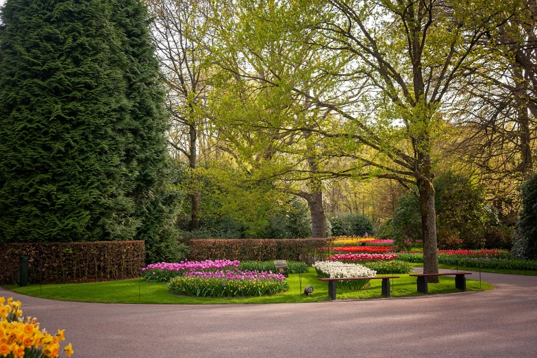 colorful flower garden is shown in the middle of a paved area