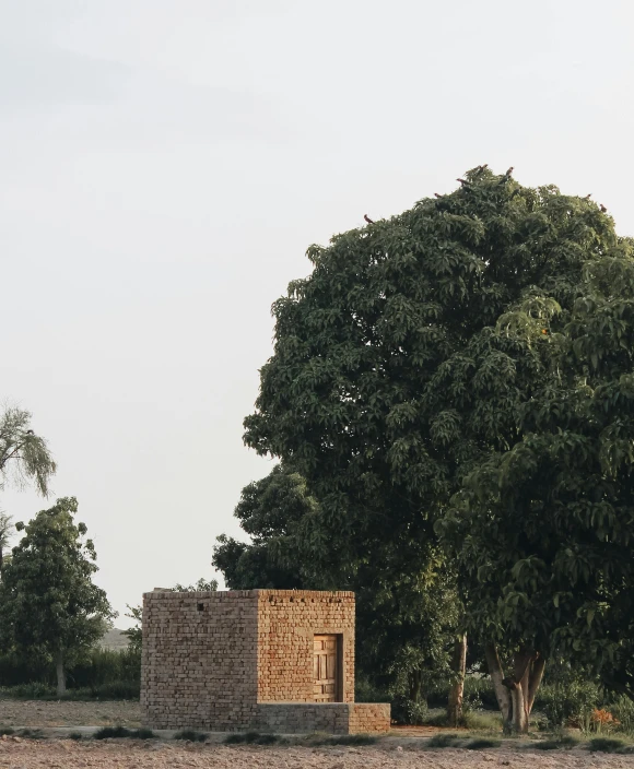 an open area with bricks and trees