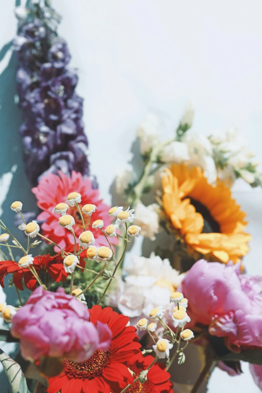 multicolored flowers sitting on top of each other