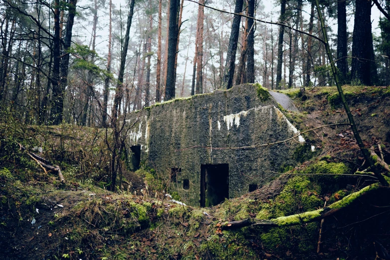 a stone house sitting in the middle of the woods